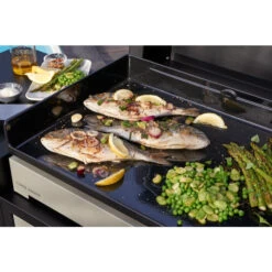 Plancha électrique Forge Adour PREMIUM 60 Acier Noir Et Gris -Eno Bbq Boutique cuisson plancha premium 1
